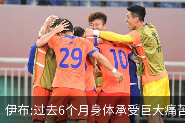 伊布:过去6个月身体承受巨大痛苦 只为帮球队夺冠